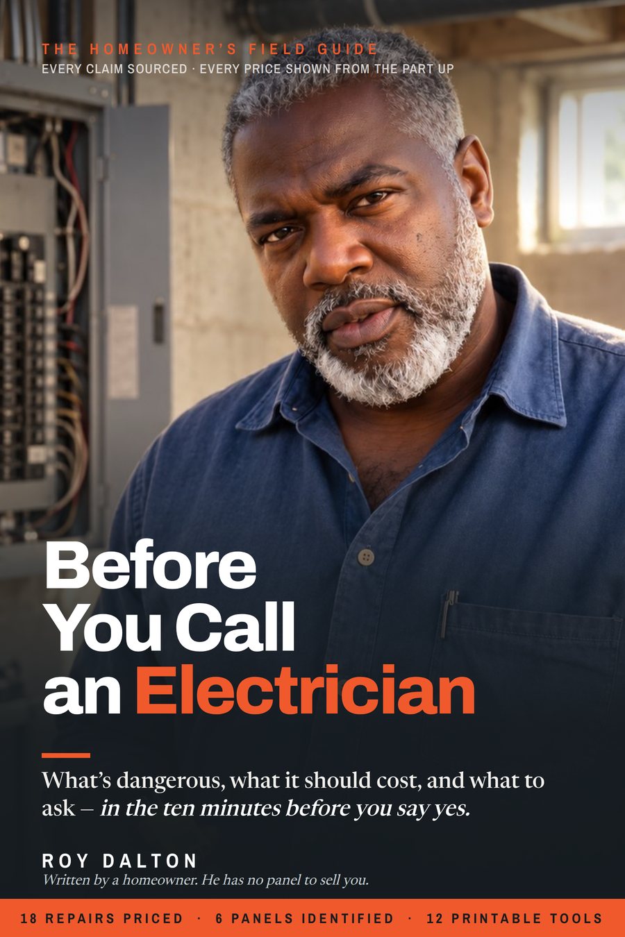 Before You Call an Electrician, the field guide